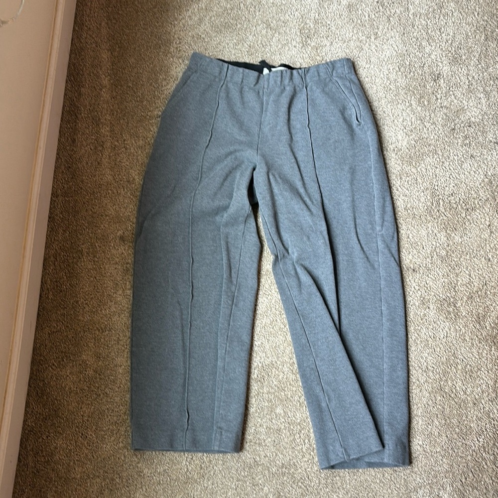 Everlane pants (The Wide Leg Dream Pant))
